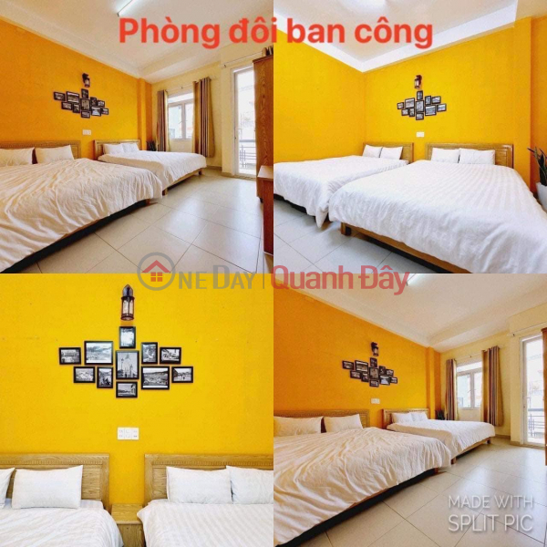 Can Sang Quick Homestay Good Location Ward 6, Da Lat City, Lam Dong, Vietnam, Sales | đ 20 Million