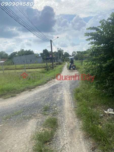 Property Search Vietnam | OneDay | Nhà ở Niêm yết bán Chính chủ bán gấp 360m2 đất thổ cư 100% Đức Hòa giá 1,55 tỷ có phí hh cho môi giới