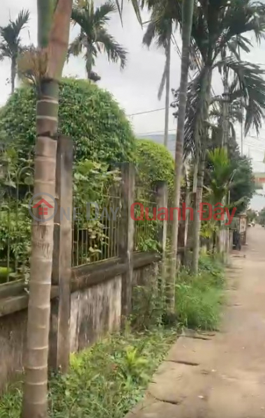 Property Search Vietnam | OneDay | Residential, Sales Listings | OWNER urgently needs to sell a beautiful plot of land - Prime location in Chau Giang, Duy Tien, Ha Nam.