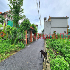 Land for sale, 60m2, Thuan An, Hanoi, 4m frontage, wide alley near main road 0989894845 _0