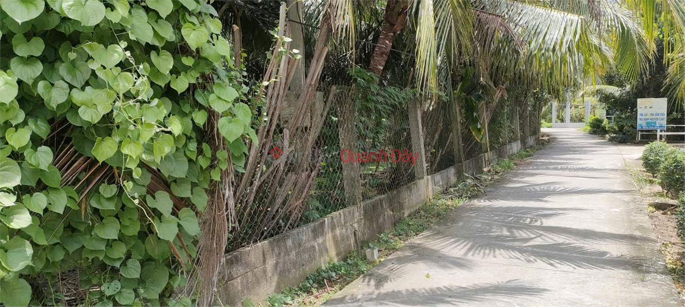 BEAUTIFUL LAND - GOOD PRICE - URGENT SALE Potential Land Lot In Long An Commune, Chau Thanh, Tien Giang Sales Listings
