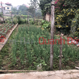 Phung Chau land - close to pine asphalt road - less than billion, please contact quickly before I sell - area _0