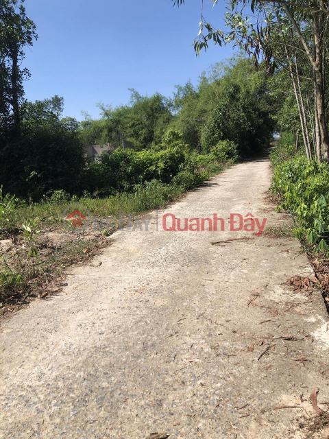 BEAUTIFUL LAND - PROFITABLE INVESTMENT - Land Lot For Quick Sale In Hai Le, Quang Tri _0