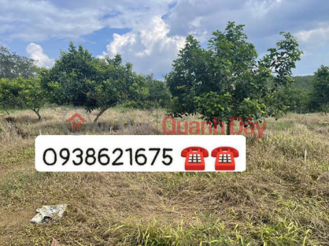 BEAUTIFUL LAND - GOOD PRICE - Land Lot For Sale Prime Location In Dong Tien Commune, Dong Phu District, Binh Phuoc _0