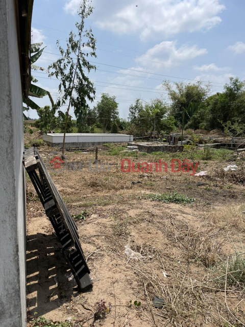 Beautiful Land - Good Price - Owner Needs to Sell Land Lot in Nice Location at Hoa Thanh Hamlet, Dinh Hoa Commune _0