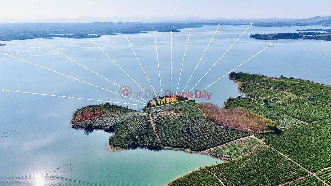 Property Search Vietnam | OneDay | Residential, Sales Listings | Owner selling land with lake view, 3 frontages, cheap price
