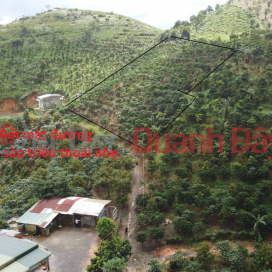 BEAUTIFUL LAND - GOOD PRICE - Land Lot For Sale Prime Location In Loc Thanh Commune, Bao Lam District, Lam Dong _0