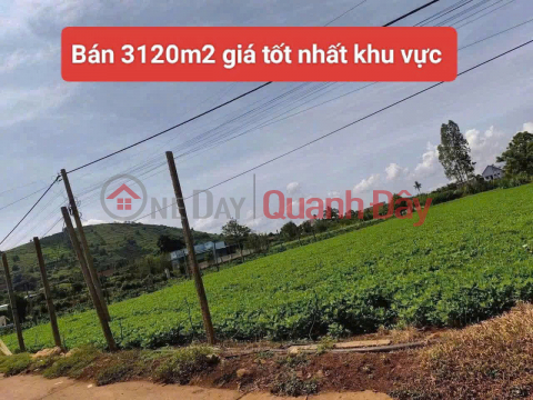 3120m2 of land for sale in Tan Hoi commune, Duc Trong district, Lam Dong province, price 4 billion VND. _0