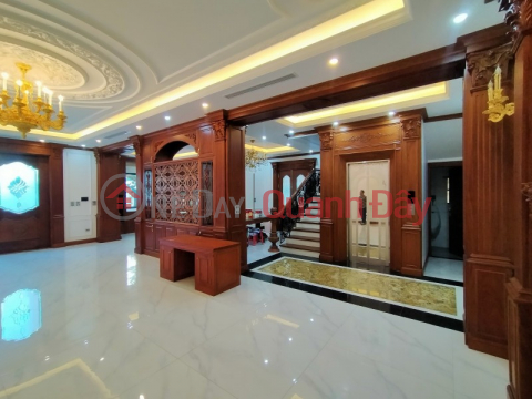 Super Beautiful Villa, European style, Bui Thien Ngo street, area 240m2, MT15m. _0