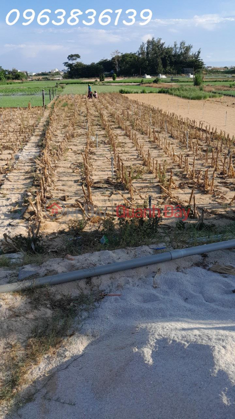 Bán thửa đất quy hoạch đất ở. Mặt đường 12m, trục chính đảo Lý Sơn, Quảng Ngãi _0
