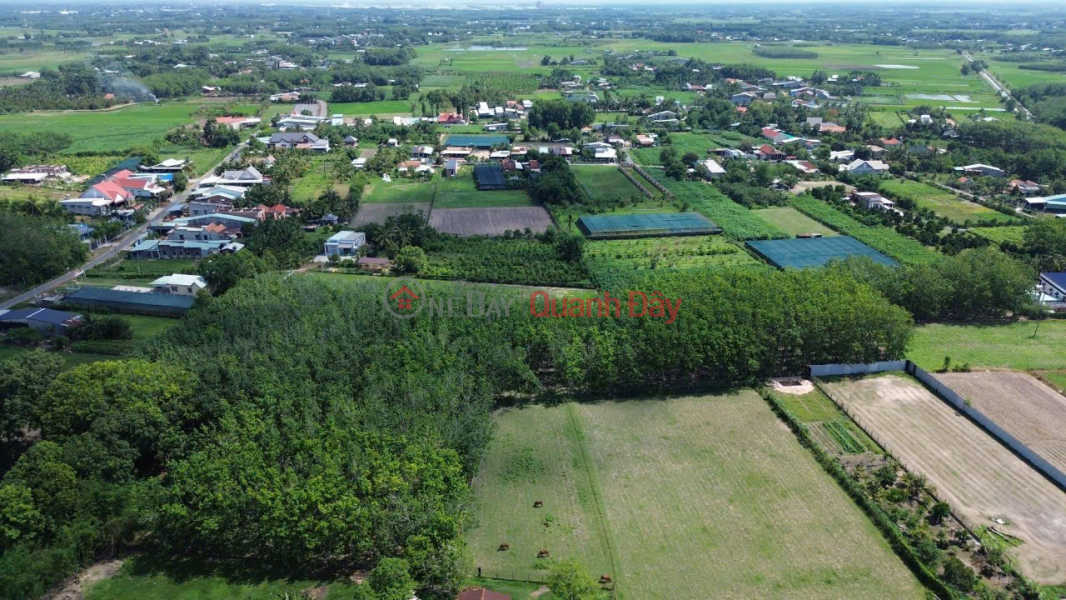 BEAUTIFUL LAND - PROFITABLE INVESTMENT - Need to Sell Quickly 13 Plots of Land in Gia Tan, Gia Loc, Trang Bang, Tay Ninh Vietnam, Sales | đ 700 Million