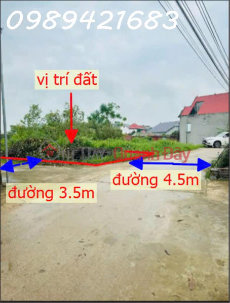 Owner needs to sell corner lot (number 4),Tan Lap residential group - Tan An town - Bac Giang Vietnam, Sales đ 900 Million