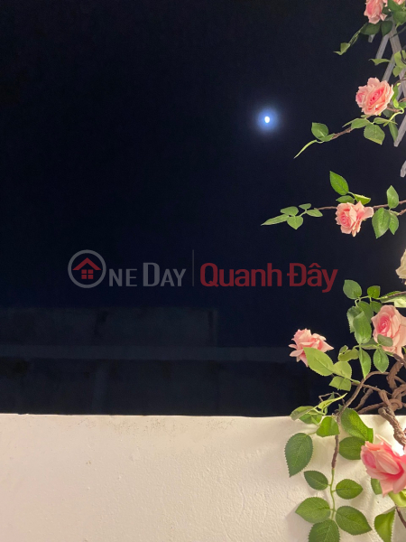 Property Search Vietnam | OneDay | Residential | Sales Listings | Selling a 56 meter 2-bedroom apartment with 2 airy balconies, green gardens, only 1ty350 million VND