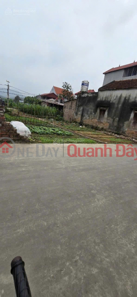 Super product, owner sells 54.1m2 of land on main road of Quang Hoi, Quang Tien, Soc Son, Hanoi Sales Listings