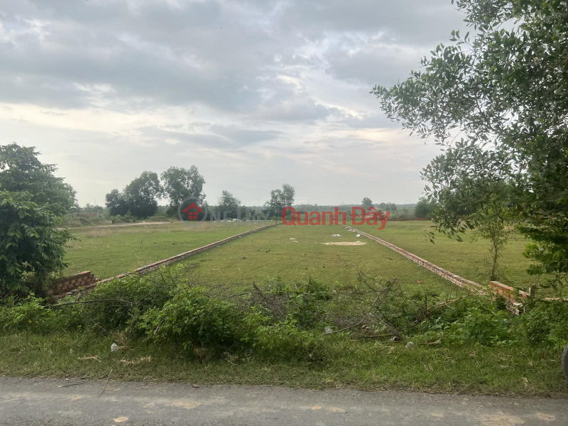 OWNER REDUCES PRICE, URGENT SALE OF LAND WITH 10M FRONTAGE ON Luc Vien ASPHALT ROAD, MY HANH BAC AREA, PRICE ONLY 4.2 BILLION VND Sales Listings