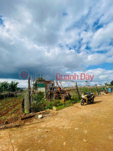 Bán đất 198m2 đất tổ 34 - thị trấn Liên Nghĩa - Đức Trọng - Lâm Đồng 2 tỷ Niêm yết bán