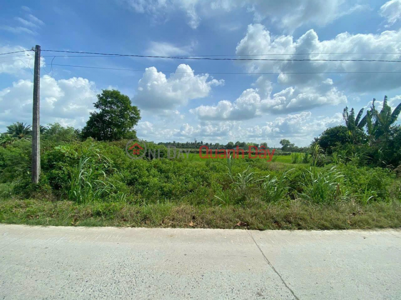OWNER - FOR SALE BEAUTIFUL LOCATION OF LAND IN Luong Hoa Commune, Chau Thanh District, Tra Vinh Sales Listings