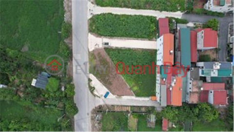 Dinh Trang Duc Tu Communal House auction starting price is only 27 million VND _0