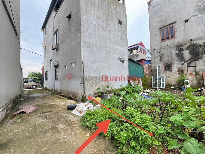 Bán 45m2 Đất Bạch Đa Kim Hoa – Mê Linh, Đường Oto Vào Đất, Giáp Đường Vành Đai 4 | Việt Nam Bán đ 1,9 tỷ