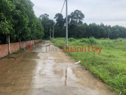 Sang nhượng gấp toàn bộ đất tại mặt tiền đường ĐT 821, xã Lộc Giang, Huyện Đức Hòa, tỉnh Long An. _0