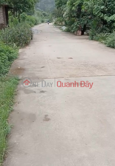 Owner needs to sell a prime plot of land in Soc Son - Price only 12 million VND\/m2 - Excellent location. _0