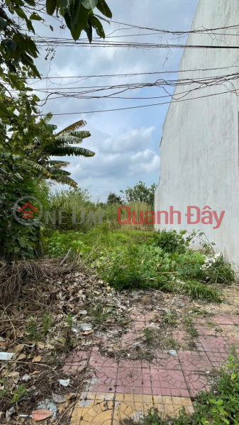 Property Search Vietnam | OneDay | Residential Sales Listings, BEAUTIFUL LAND - CHEAP PRICE - URGENTLY SELLING A POTENTIAL LAND IN CAI RANG DISTRICT, CAN THO CITY