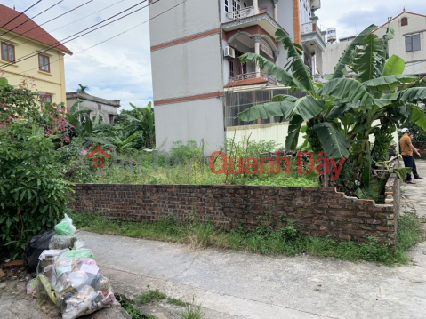 Cần tiền thanh khoản gấp 3 lô đất Lại Đà Đông Hội Đông Anh Hà Nội đường vào 4m ô tô vào đất ngõ thông _0