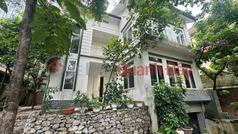 Nguyen Duc Canh street frontage, Hoang Mai, bustling business, huge frontage 87 m2, 17 billion _0