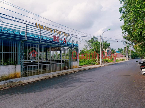 The owner needs to sell quickly Land Lot Belonging to Phuc Tri Street - Nam Thanh Ward - Ninh Binh City - Ninh Binh Province _0