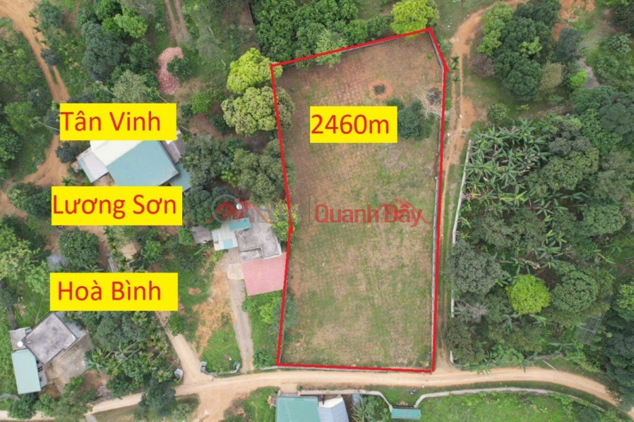 OWNER SELLS LOT OF LAND 2460M2 IN LUONG SON-HOA BINH Sales Listings