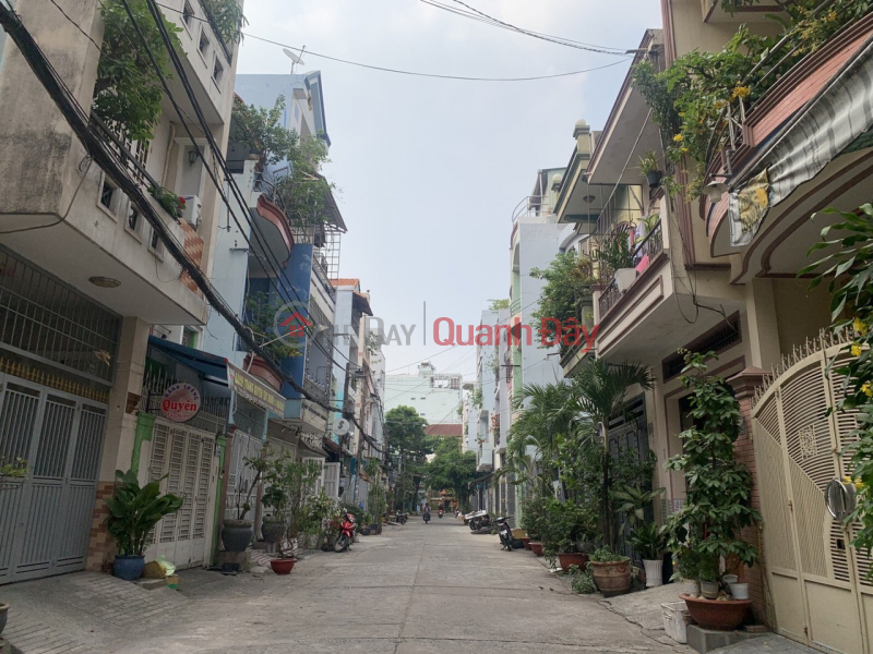 Selling Social House Luy Ban Bich Tan Thanh Tan Phu, 2 Floors, 4mx16m, Cheap price. Sales Listings