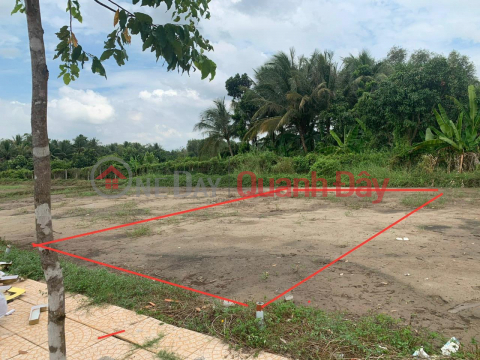 BEAUTIFUL LAND - GOOD PRICE - Owner For Sale Land Lot In Phung Hiep, Hau Giang _0