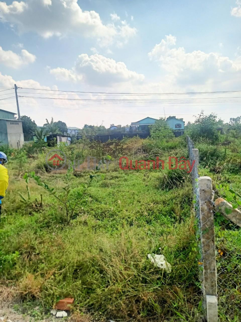 BEAUTIFUL LAND - GOOD PRICE - Owner Needs to Sell Land Quickly in Thuan My Commune, Chau Thanh, Long An _0