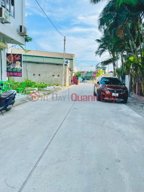 Super nice corner lot for sale in new auction area Ngai Duong, Dinh Du, Van Lam, cheapest price on the market _0