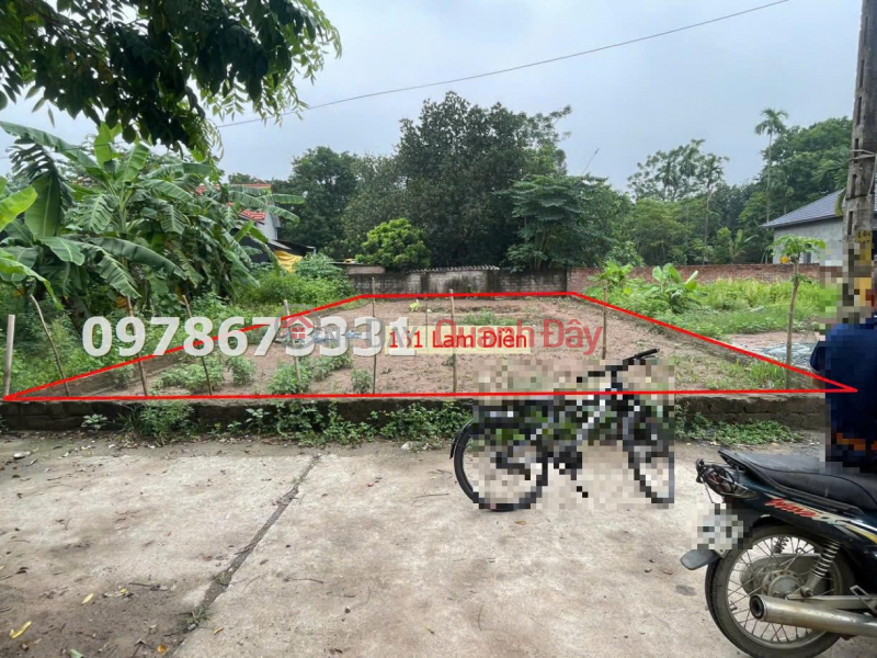 161M2 LAND FOR SALE IN LAM DIEN-CHUONG MY Sales Listings