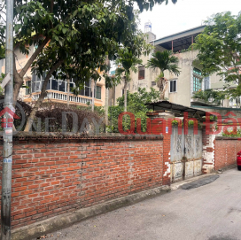 BEAUTIFUL LAND FOR SALE - GOOD LOCATION ON ALLEY OF O CACH STREET, LONG BIEN, HANOI _0