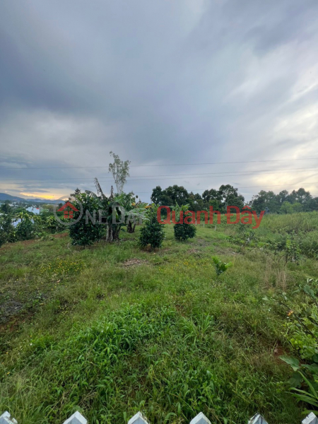₫ 8.8 Billion, The owner urgently sells the plot of land in a beautiful location, Loc Chau Commune, City. Bao Loc, Lam Dong province.