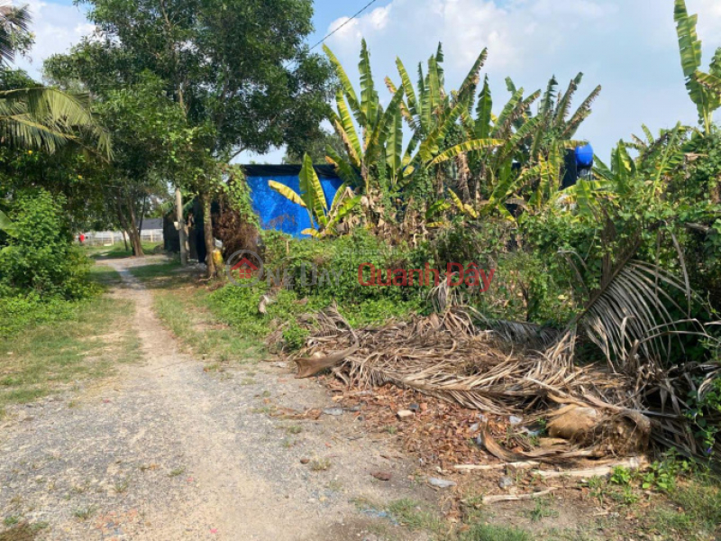 OWNER SELLING LAND WITH READY TITLE DEED AT THE BEST PRICE IN XUAN THOI SON Sales Listings