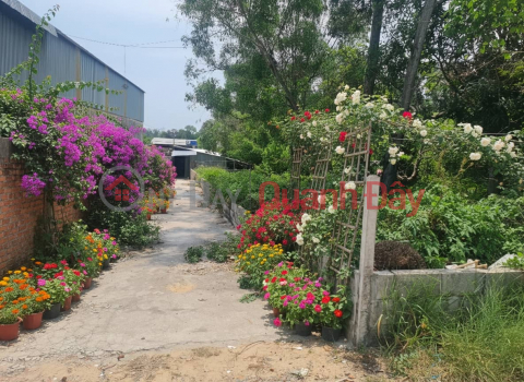 Expensive properties in Phu Quoc, great investment opportunity, direct transaction with the owner. _0