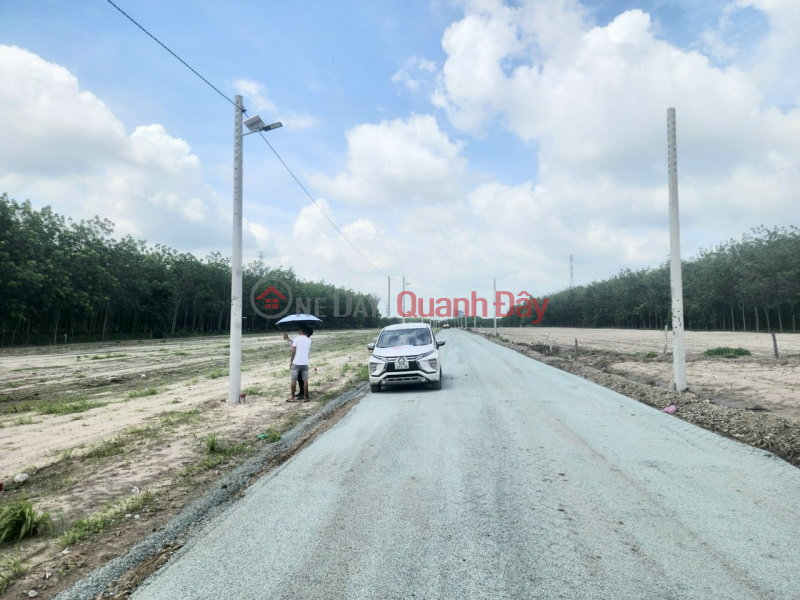 Property Search Vietnam | OneDay | Sales Listings, Becamex Industrial Park Land for Sale, Cheap Price 240 Million, Ready Book, Chon Thanh Ngot Land