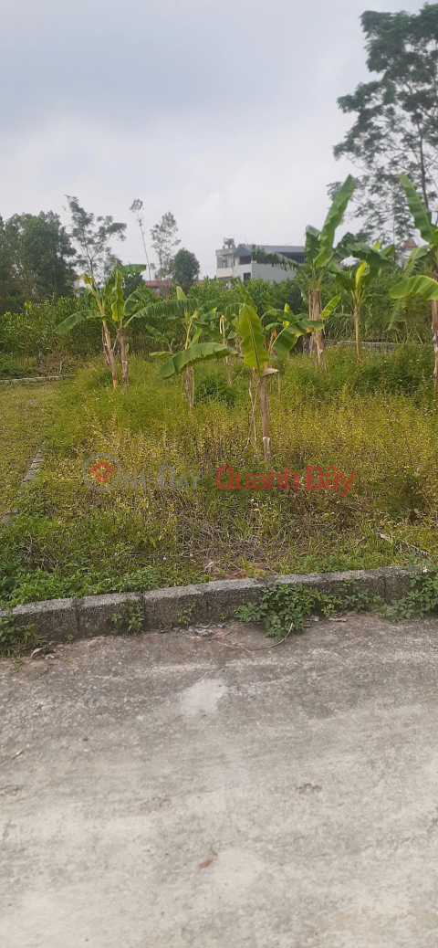 QUICK SALE this week - OWNER'S LAND, 2 street frontages, right at Hoa Lac high-tech industrial park - Thach That, Hanoi _0