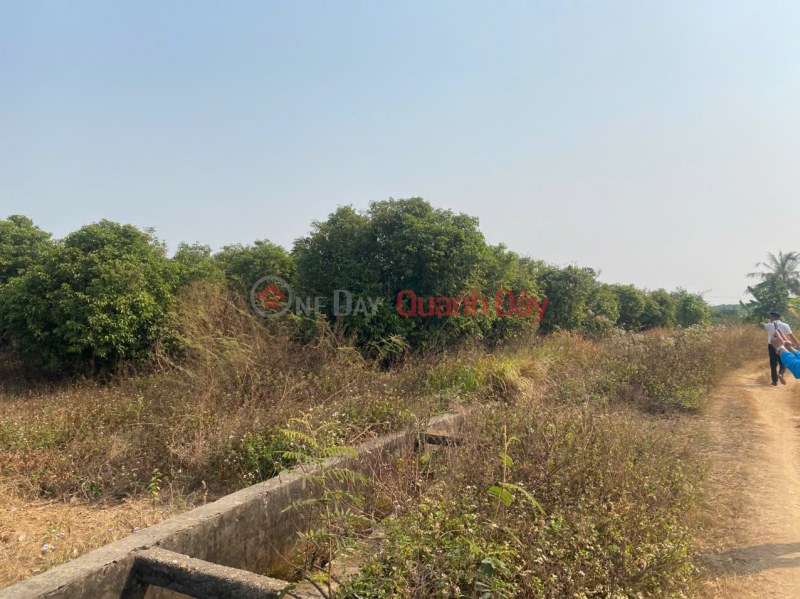 Property Search Vietnam | OneDay | Residential Sales Listings, BEAUTIFUL LAND FOR SALE IN KIEN LAO, CHU TX, BAC GIANG - HIGH PROFITABLE INVESTMENT OPPORTUNITY