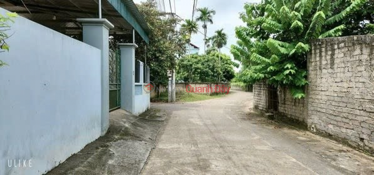 Property Search Vietnam | OneDay | Nhà ở, Niêm yết bán, Chính chủ cần bán lô đất 100m Tại Thôn Tuy Lộc, Trạch Mỹ Lộc, Phúc Thọ , Hà Nội