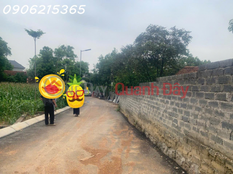 I need to sell a 90m2 plot of land in Nam Phuong Tien, Chuong My, a little over 1 billion _0