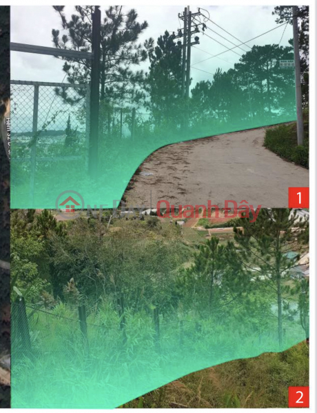 Property Search Vietnam | OneDay | Residential | Sales Listings Land in Robin Hill area next to Lulu Lola cafe, Ward 3, Da Lat city - Area 4484.76 m2, price 25 million\\/m