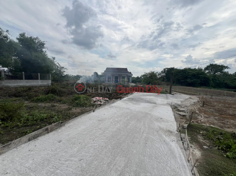 đ 8,9 tỷ, CHÍNH CHỦ BÁN LÔ ĐẤT 2300m2 FULL THỔ CƯ tại Ấp Trong, Phước Hậu, Cần Giuộc, Long An