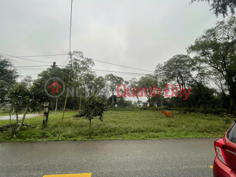 OWNER Needs to Sell 2 Beautiful Plots of Land on Giang Vien Linh Street and Tien Dien Town, Nghi Xuan District, Ha Tinh. _0