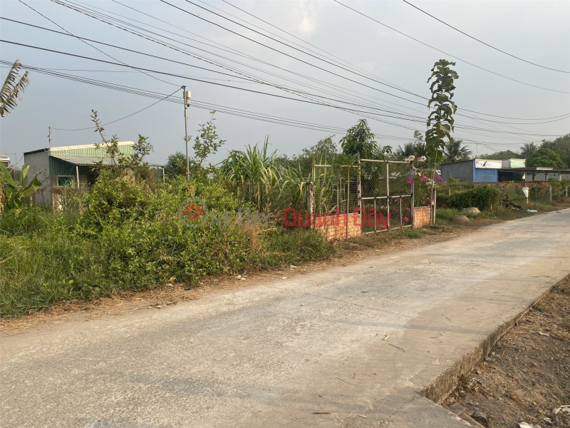 Land for sale in An Tay 060, 100m², 100% residential land, Price 1.55 billion - 0886 218 171, Vietnam, Sales | đ 1.55 Billion