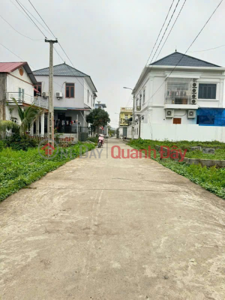 Property Search Vietnam | OneDay | Residential | Sales Listings | 1.7x billion 100m2 Lane 199 Tan Thanh - Duong Kinh Zalo 0567222555