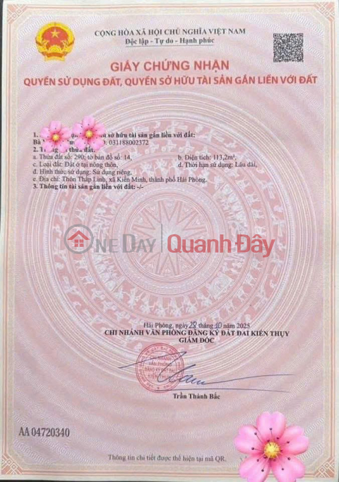 362 Minh Tan Street frontage, 113.2m², 30m wide main road – a rare business opportunity. ZALO 0567 222 555 _0